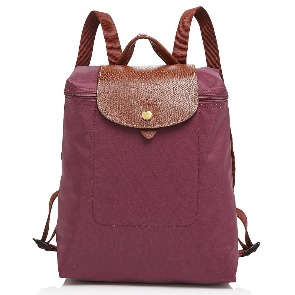 Longchamp Backpack - image 1